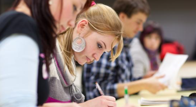 Heinrich Böll Foundation grants