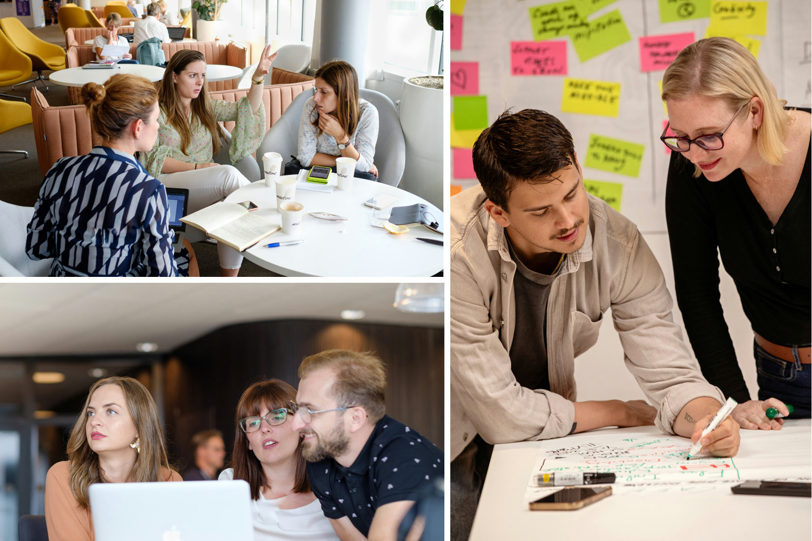 Swedish Institute Academy for Young Professionals (SAYP) Western Balkans